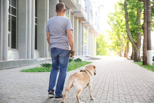 How Can Service Dogs Help People With Hearing Loss?