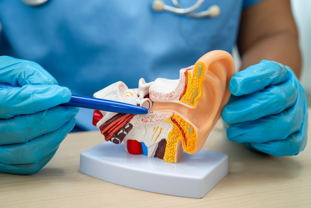 What is Conductive Hearing Loss?