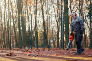 Man Blowing Leaves