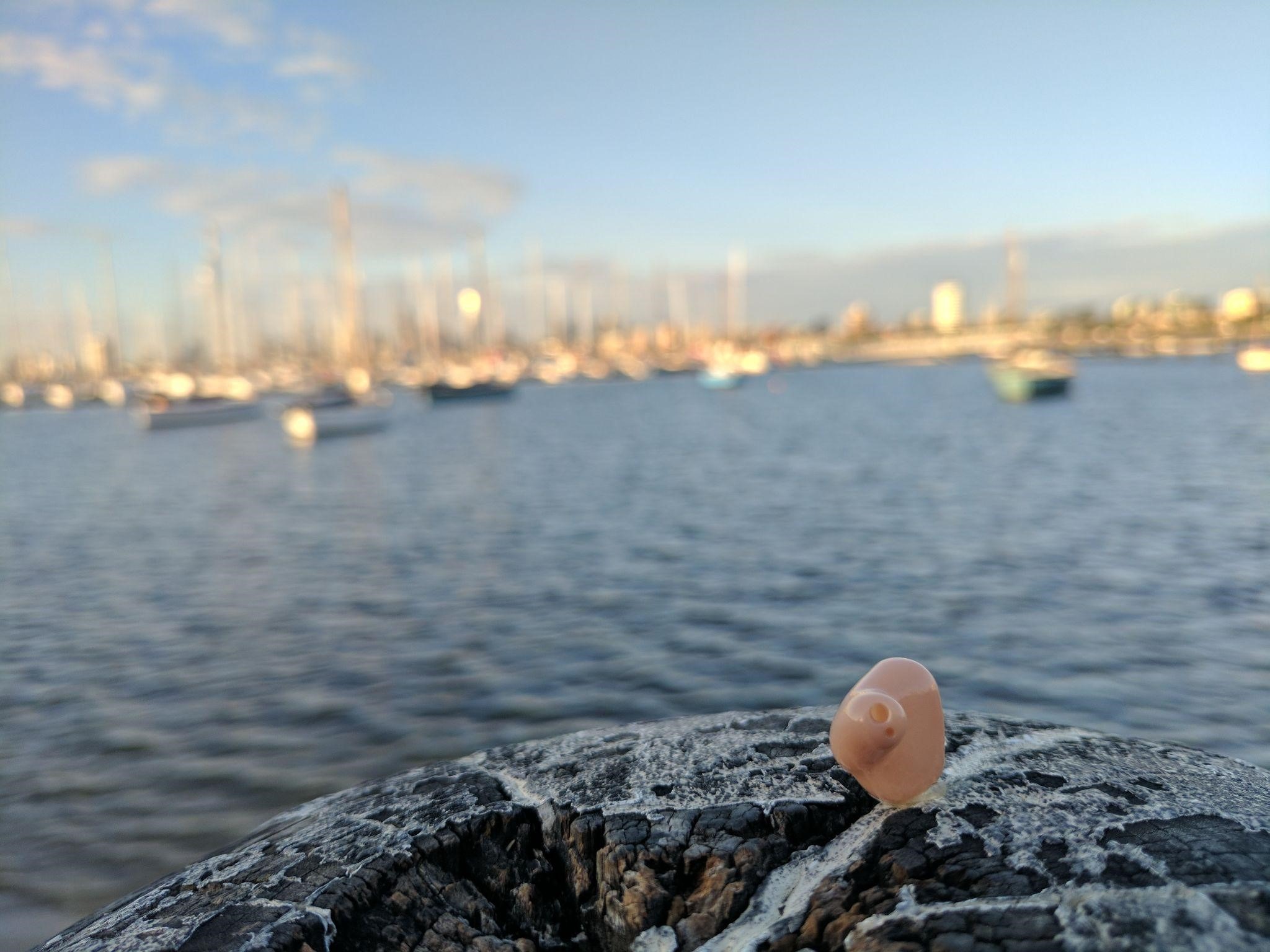 Waterproof Hearing Aids