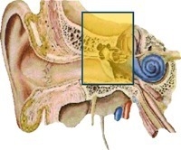 Conductive Hearing Loss Diagram